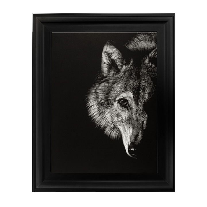 AN022 Black Glimpse III
