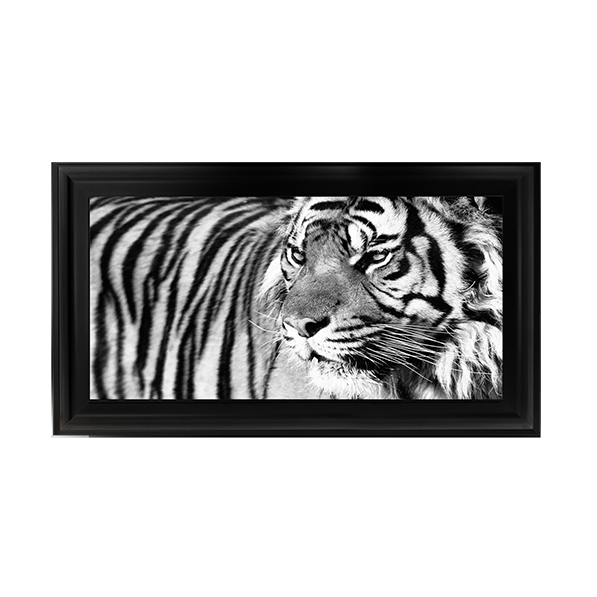 Tiger Eyes