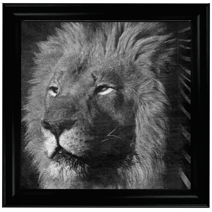 AN047 Animal Instincts Black And White