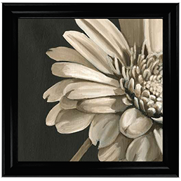 FL038 Classical Blooms IV