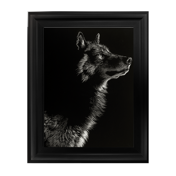 Scratchboard Wolf II