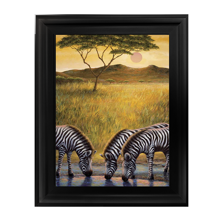 AN039 Zebra Respite