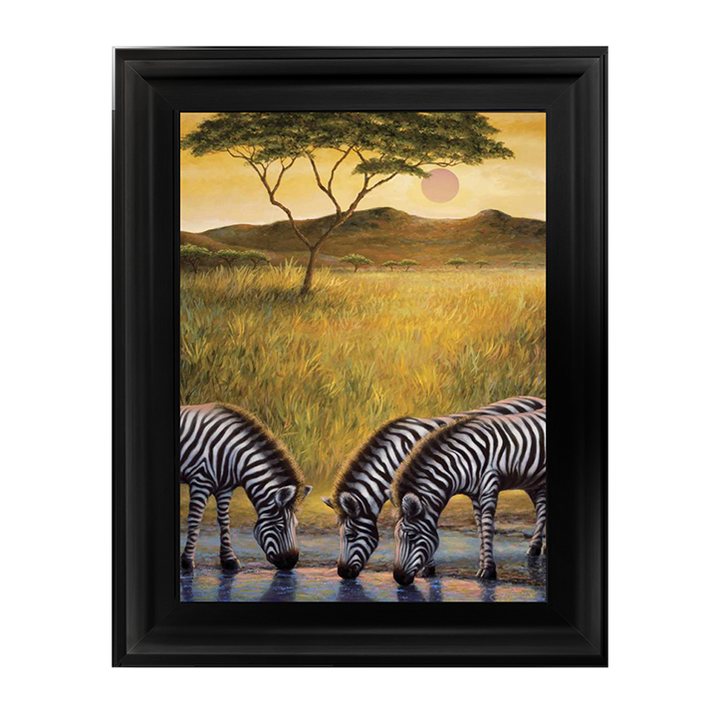 AN039 Zebra Respite