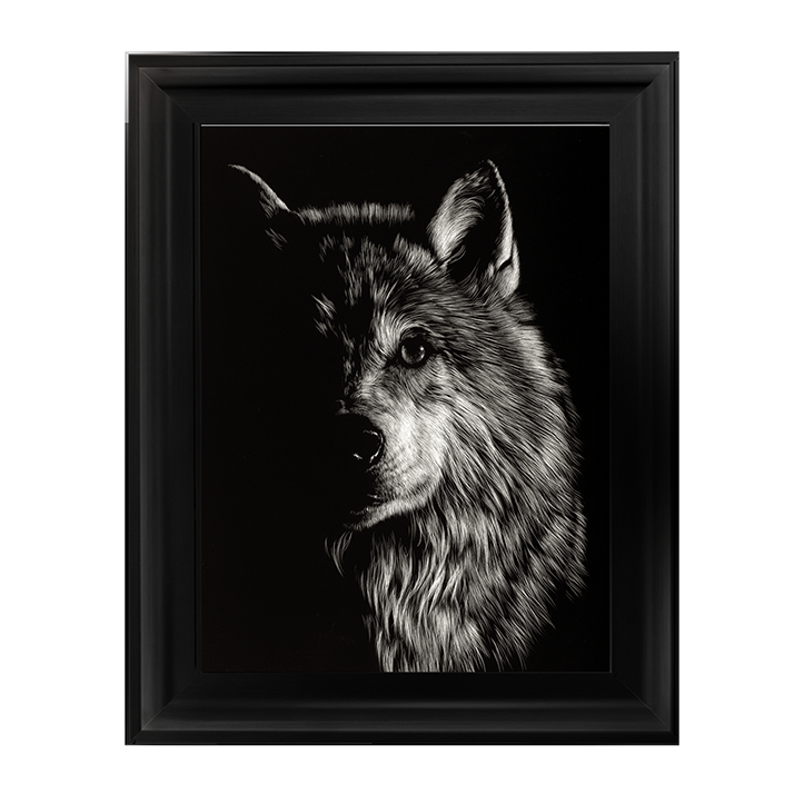 Scratchboard Wolf III