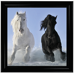 Salt And Pepper