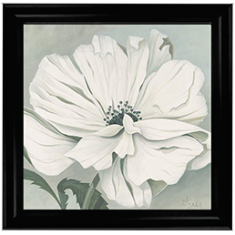 White poppy