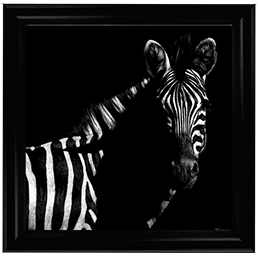 Wildlife Scratchboards IV