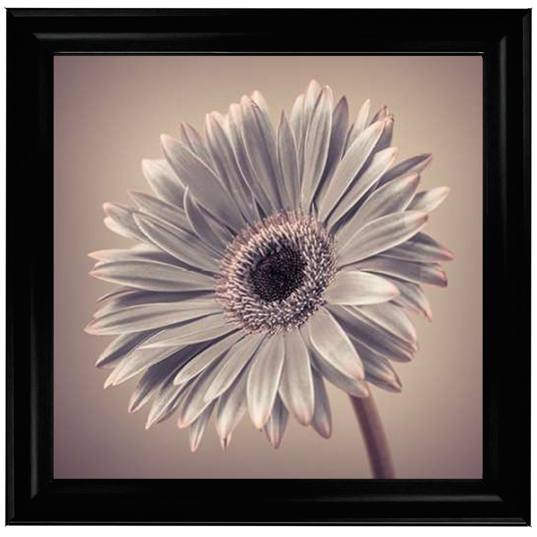 FL014 Pink Gerbera 2