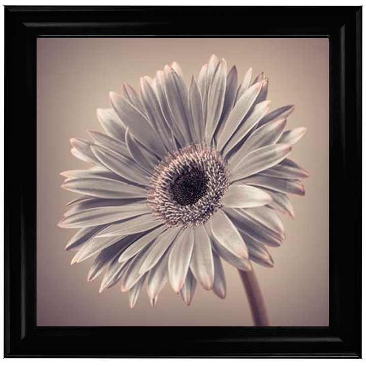 FL014 Pink Gerbera 2