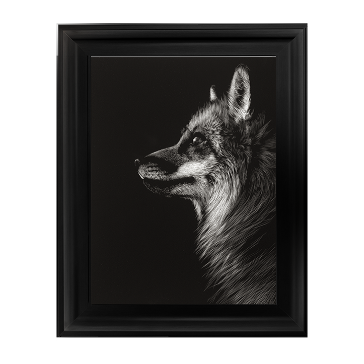 AN023 Black Glimpse V