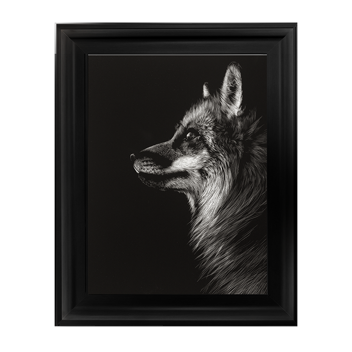 AN023 Black Glimpse V