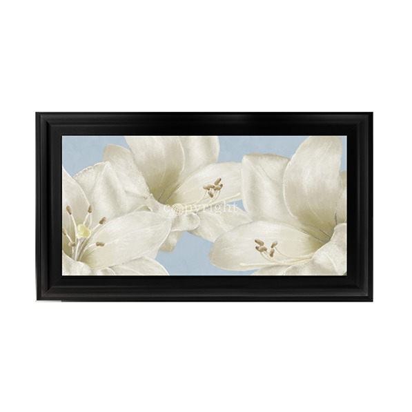 White Amaryllis III