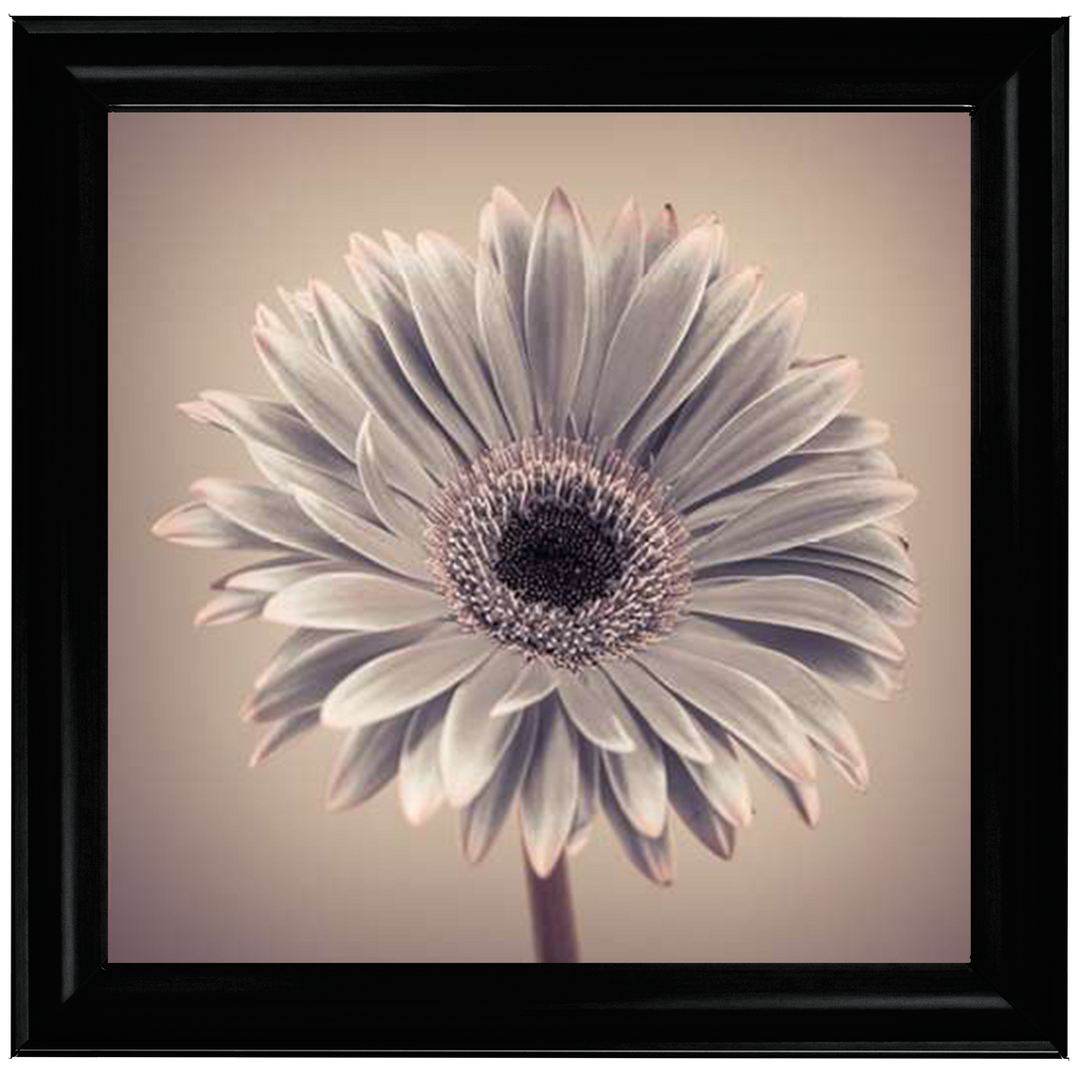 FL013 Pink Gerbera 1