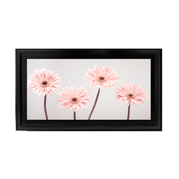 Set of 4 Gerberas nude pink