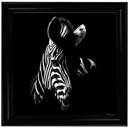 Wildlife Scratchboards V