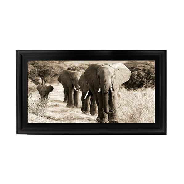 Herd of African Elephants- Kenya