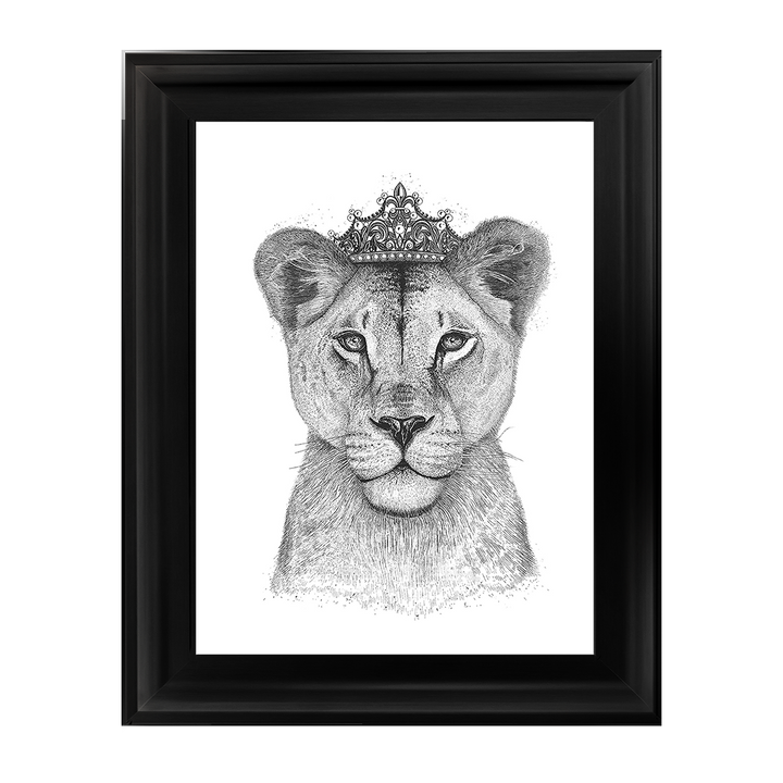 Queen Lioness