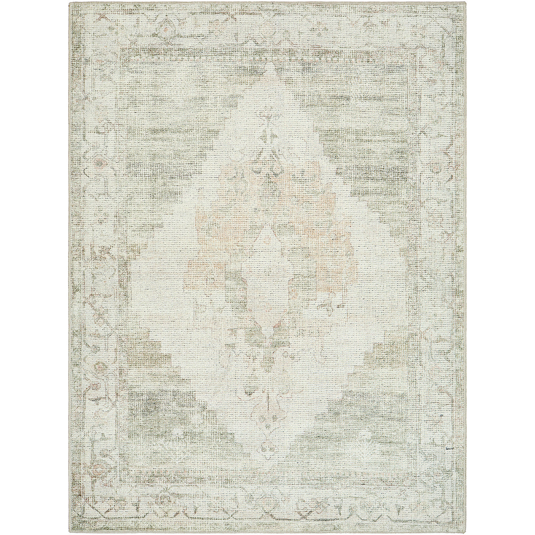 Signature Luca Becki Owens Vintage Traditional Vintage Boho Rug