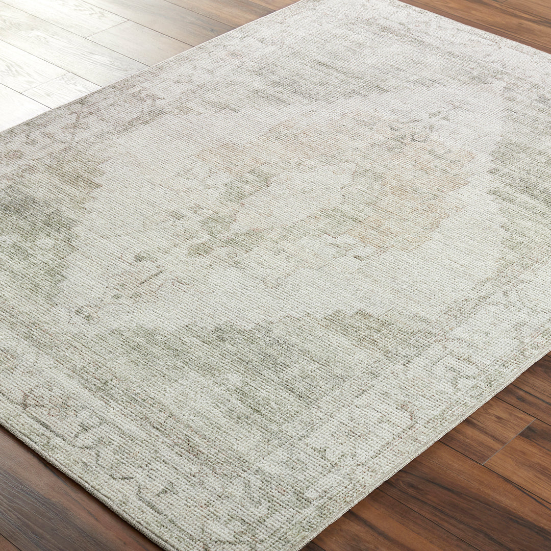 Signature Luca Becki Owens Vintage Traditional Vintage Boho Rug