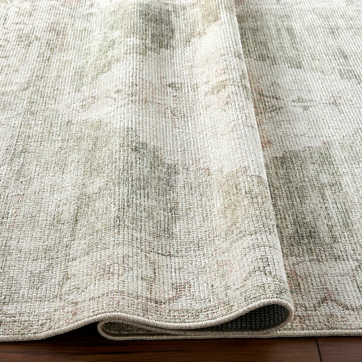 Signature Luca Becki Owens Vintage Traditional Vintage Boho Rug