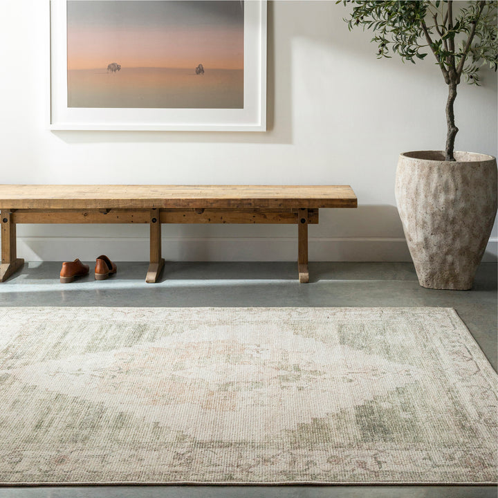 Modern Luca Becki Owens Vintage Traditional Vintage Boho Rug