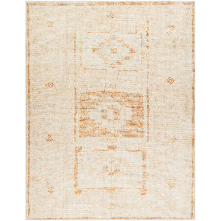 Solana Becki Owens Global Rug
