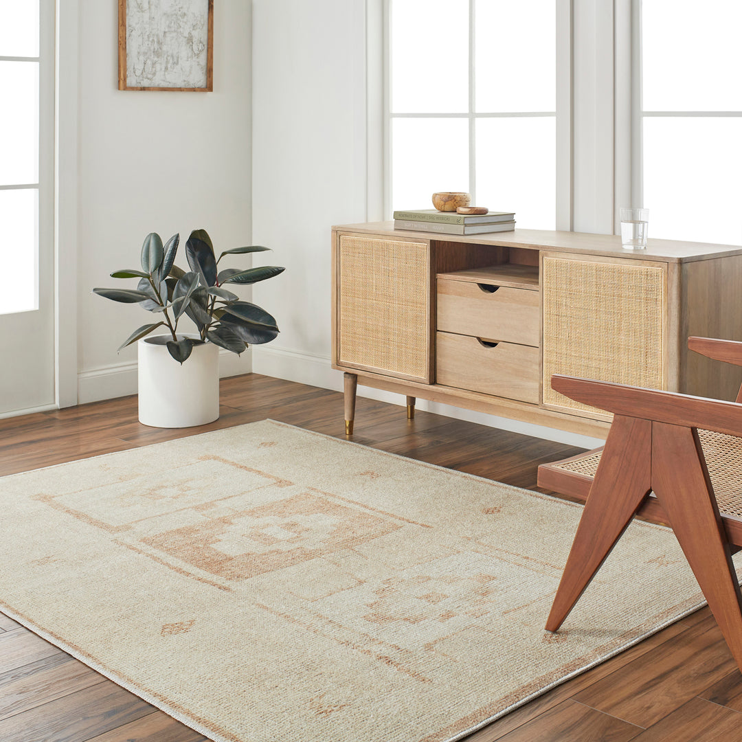 Solana Becki Owens Global Rug