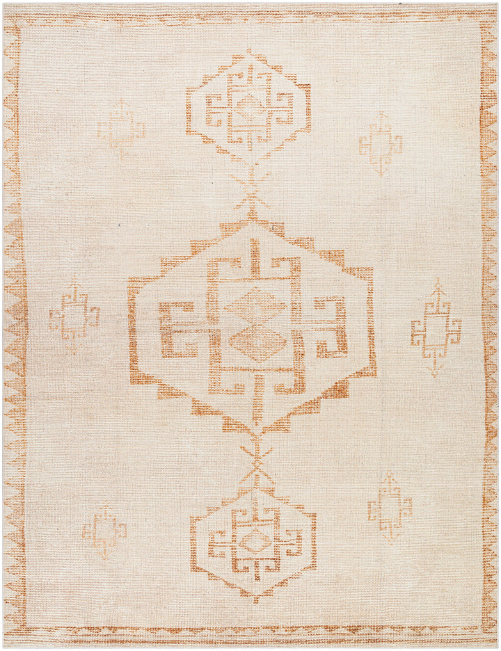 Signature Solana Becki Owens Global Rug