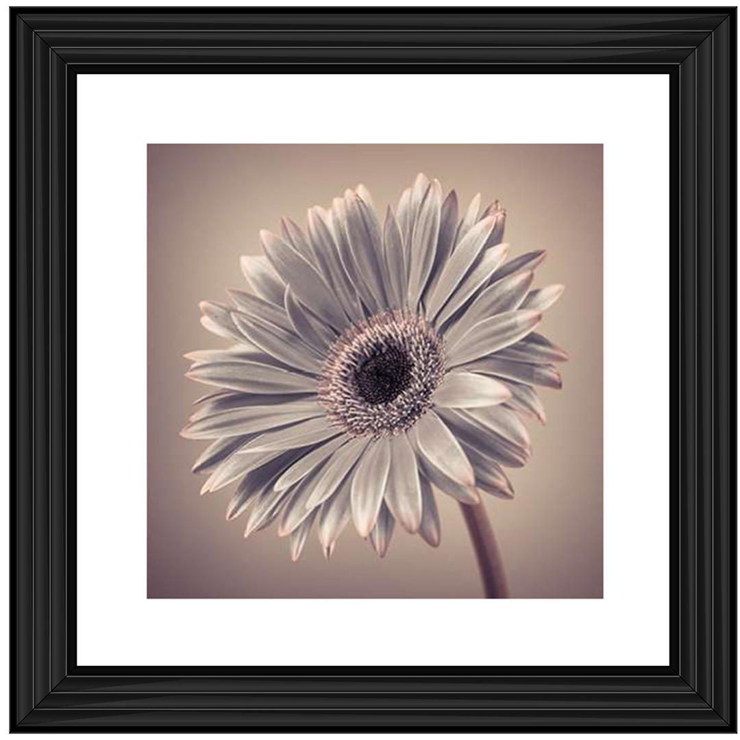 FL014 Pink Gerbera 2