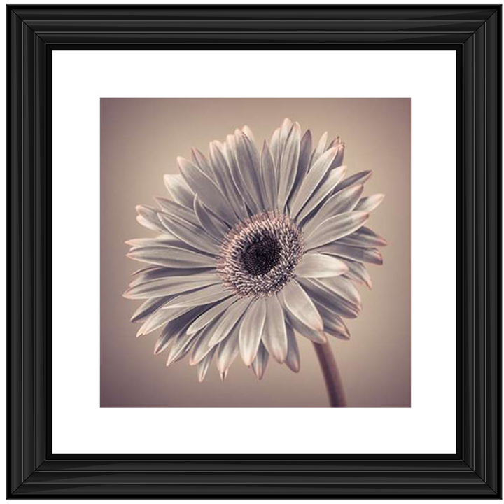 FL014 Pink Gerbera 2