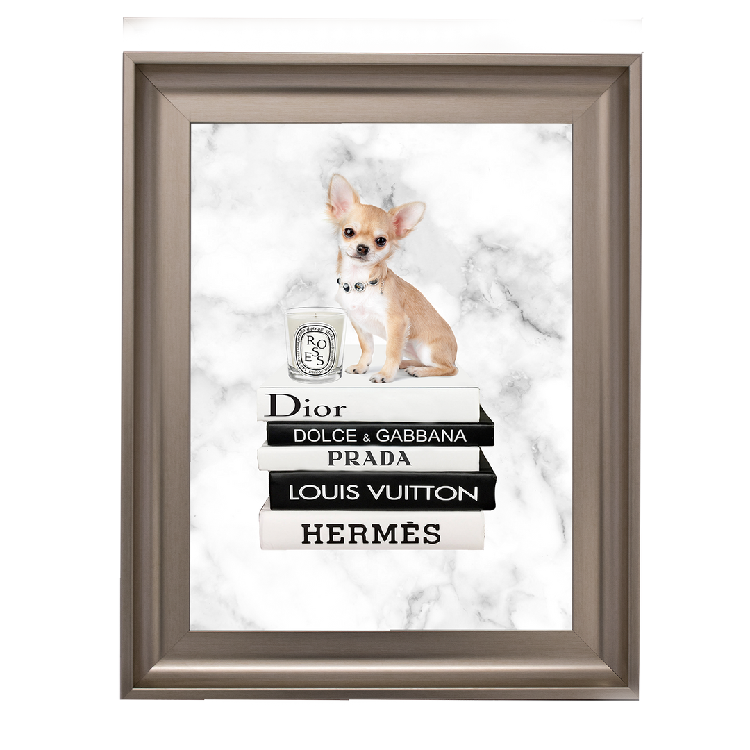 FS256 Fashion books VI