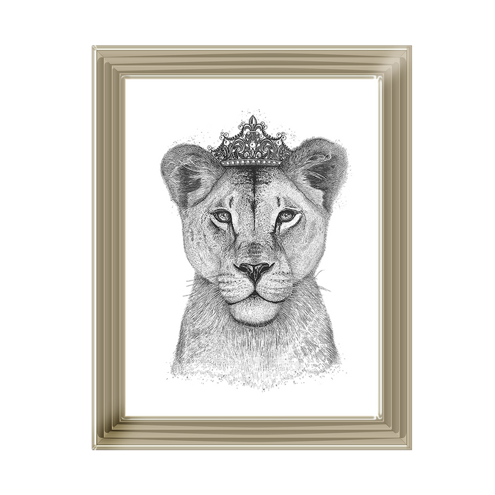 Queen Lioness