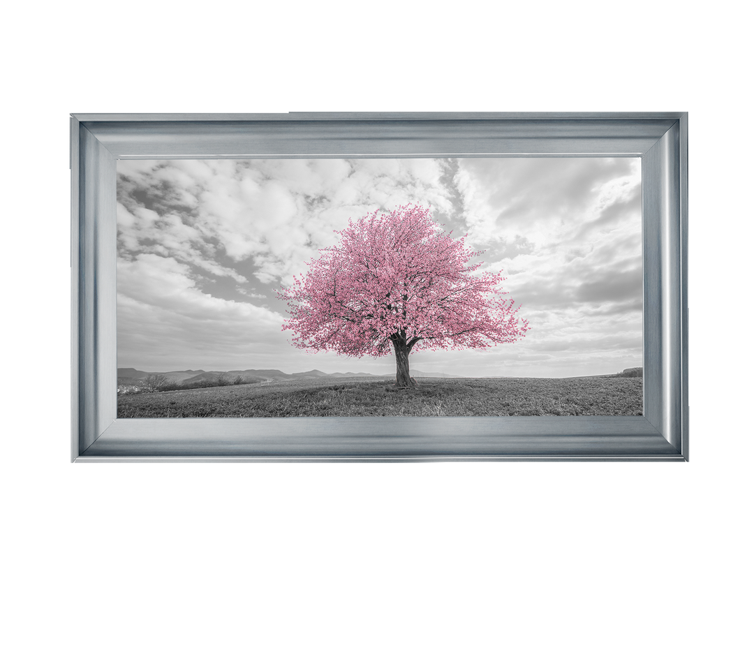 Pink tree