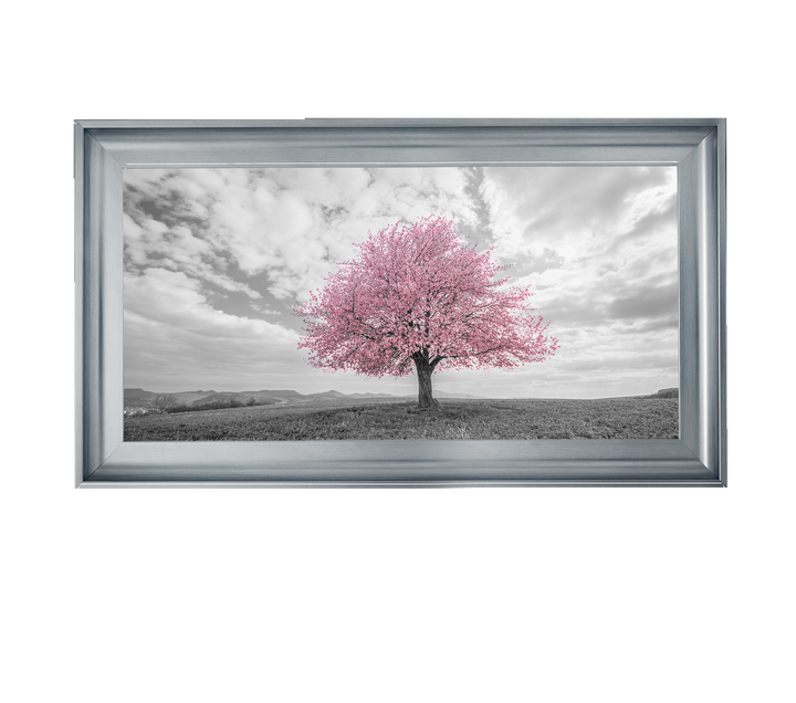 Pink tree
