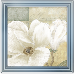 FL022 Aqua magnolia II