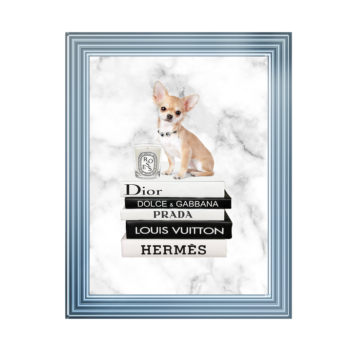 FS256 Fashion books VI