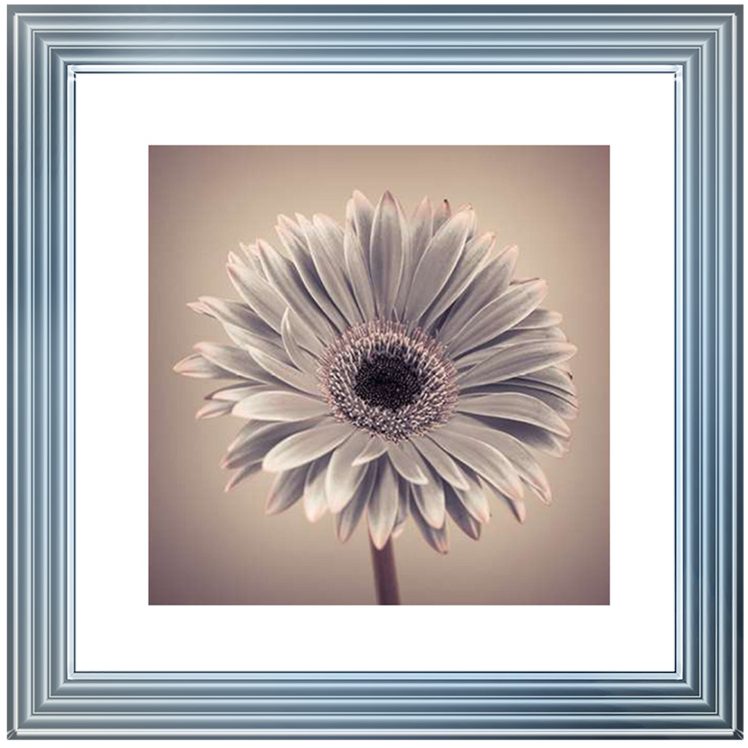 FL013 Pink Gerbera 1
