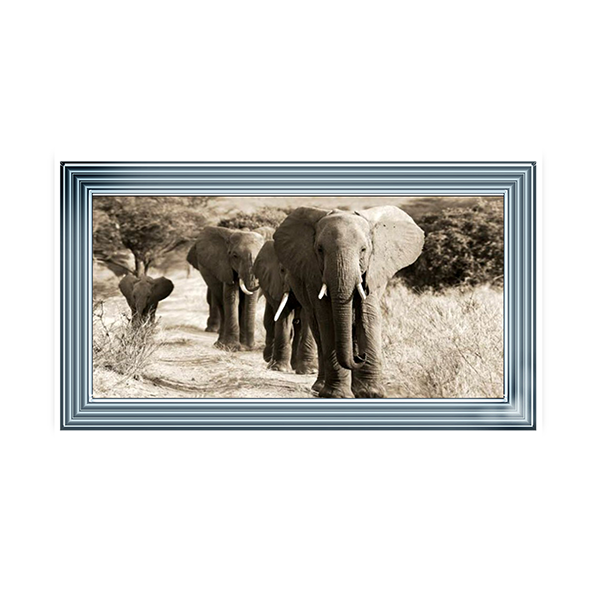 Herd of African Elephants- Kenya