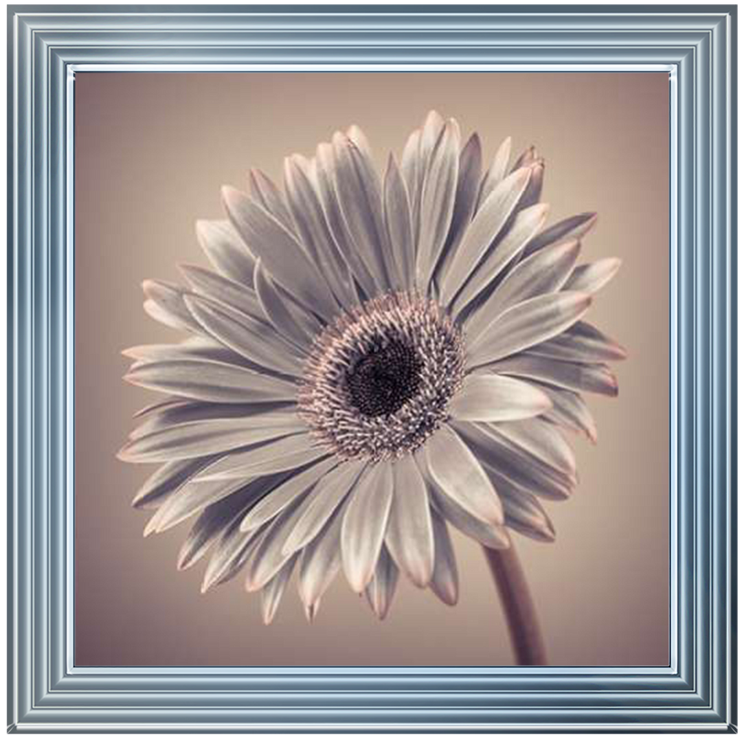 FL014 Pink Gerbera 2