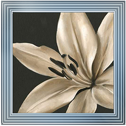 FL037 Classical Blooms III