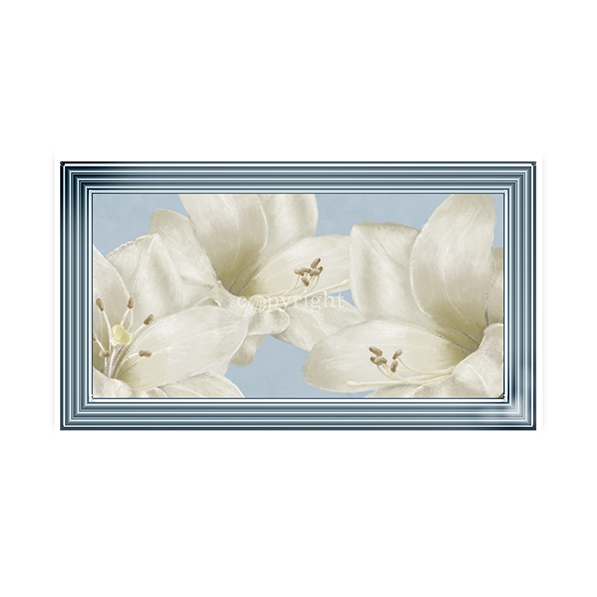 White Amaryllis III