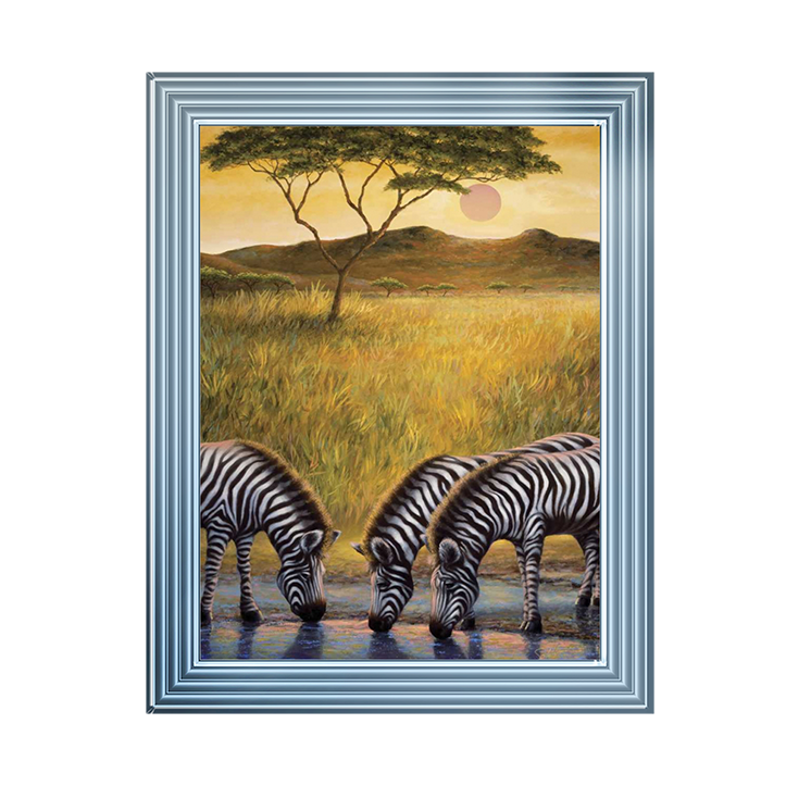 AN039 Zebra Respite