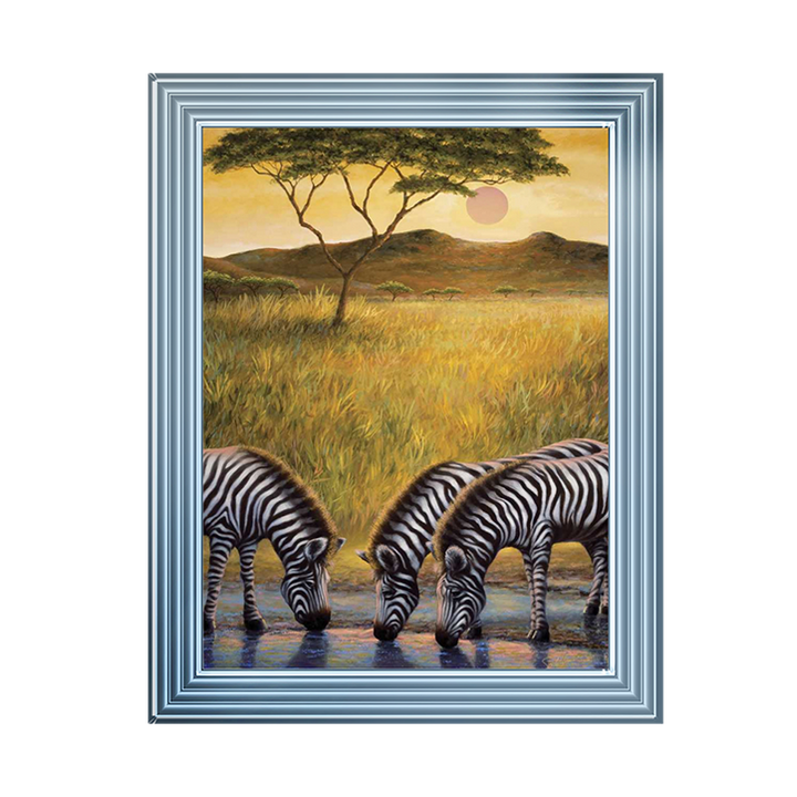AN039 Zebra Respite