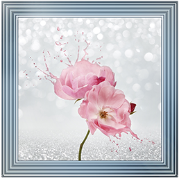 Pink Floral Silver Background