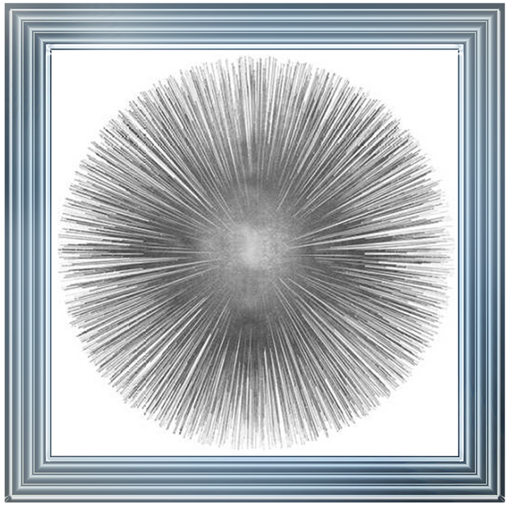 MD002 (AY112556) Silver Sunburst 1