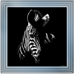 Wildlife Scratchboards V