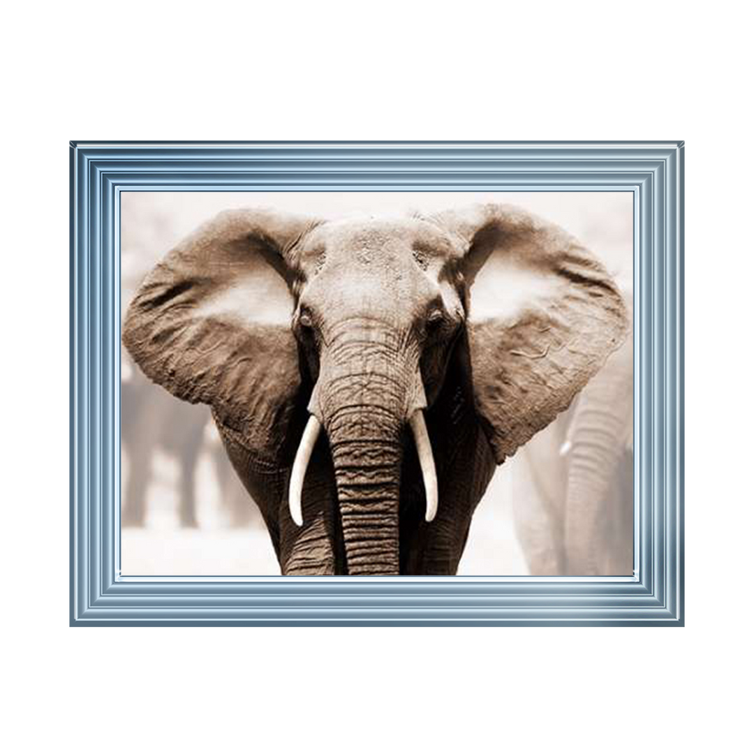 AN071 African Elephant