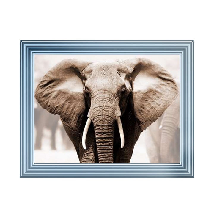 AN071 African Elephant