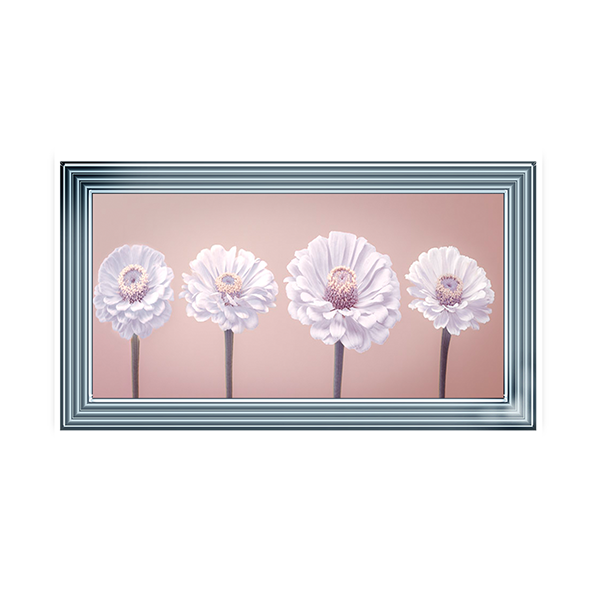 Four Zinnias in a row nude pink
