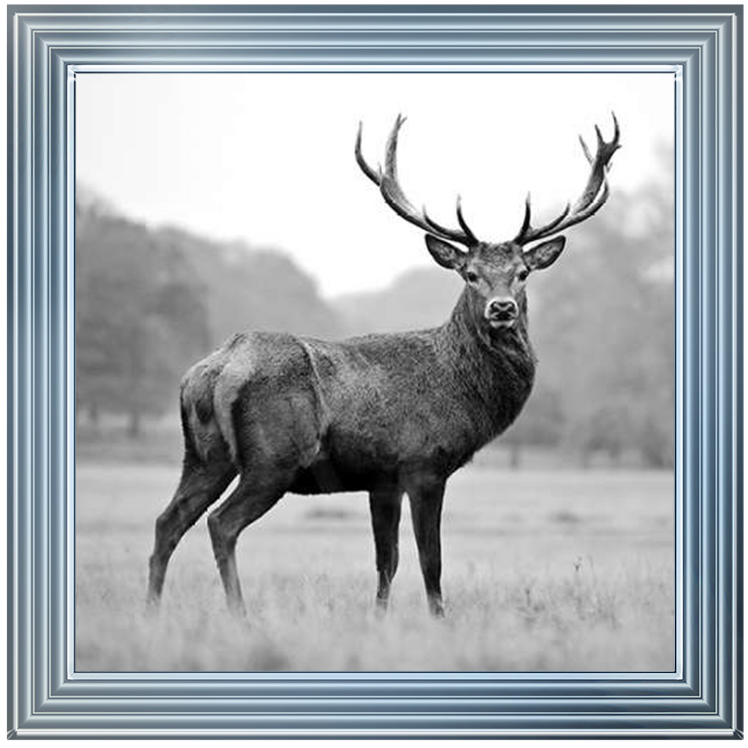 AN007 Proud Deer